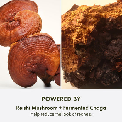 Origins Mega-mushroom - Hidratante Ligero | Hidrata, Reduce