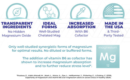 Suplemento Complejo de Magnesio 4 en 1 - Mezcla de glicinato, taurato, malato y orotato - 300 mg por porción, 120 cápsulas